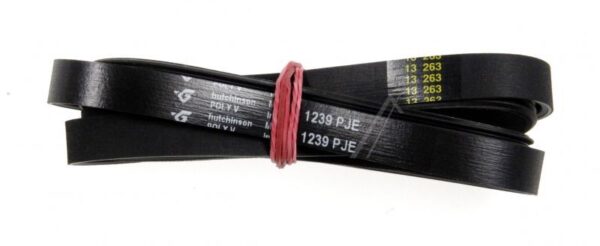 1239J5EL POLY V CINGHIA ELESTICA
