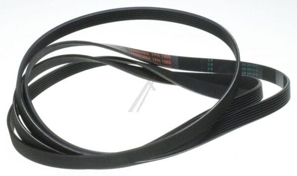 C00297210  CINGHIA 7 RIB (BPM MOTOR)