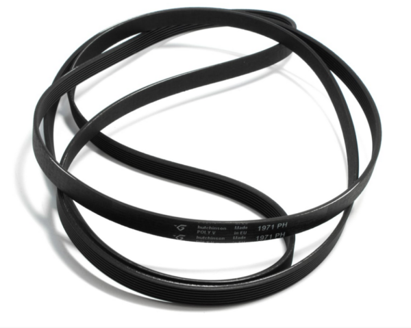 CINGHIA PER ASCIUGATRICE ZANUSSI REX ELECTROLUX 1971 H7 1366033007 140056254018