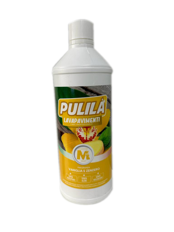 LAVAPAVIMENTI PER PULILAVA FOLETTO SP520 SP530 VANIGLIA E ZENZERO